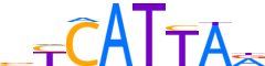 NKX61.H12CORE.1.P.B reverse-complement motif logo (NKX6-1 gene, NKX61_HUMAN protein)