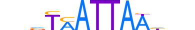 NKX61.H12CORE.2.S.B reverse-complement motif logo (NKX6-1 gene, NKX61_HUMAN protein)