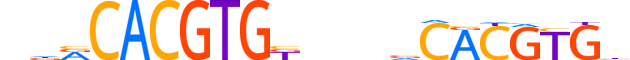 NPAS2.H12CORE.2.S.B reverse-complement motif logo (NPAS2 gene, NPAS2_HUMAN protein)