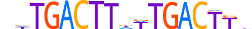 NR2E1.H12CORE.1.S.B reverse-complement motif logo (NR2E1 gene, NR2E1_HUMAN protein)