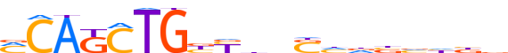 OLIG2.H12CORE.0.P.B motif logo (OLIG2 gene, OLIG2_HUMAN protein)