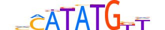 OLIG2.H12CORE.2.SM.B motif logo (OLIG2 gene, OLIG2_HUMAN protein)