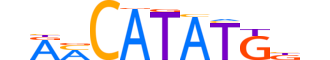 OLIG2.H12CORE.2.SM.B reverse-complement motif logo (OLIG2 gene, OLIG2_HUMAN protein)