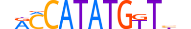 OLIG3.H12CORE.0.SM.B motif logo (OLIG3 gene, OLIG3_HUMAN protein)