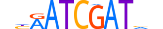 ONEC3.H12CORE.1.S.C reverse-complement motif logo (ONECUT3 gene, ONEC3_HUMAN protein)