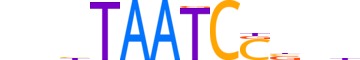 OTX1.H12CORE.0.SM.B reverse-complement motif logo (OTX1 gene, OTX1_HUMAN protein)