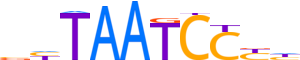 OTX2.H12CORE.0.PSM.A reverse-complement motif logo (OTX2 gene, OTX2_HUMAN protein)