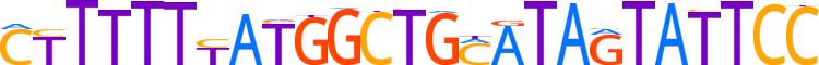 OZF.H12CORE.0.P.B motif logo (ZNF146 gene, OZF_HUMAN protein)