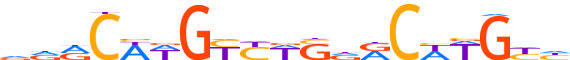 P73.H12CORE.0.PS.A reverse-complement motif logo (TP73 gene, P73_HUMAN protein)