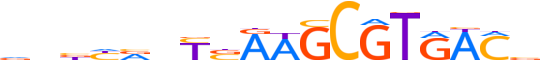 PAX1.H12CORE.0.SM.B motif logo (PAX1 gene, PAX1_HUMAN protein)