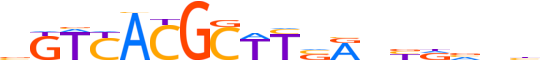 PAX1.H12CORE.0.SM.B reverse-complement motif logo (PAX1 gene, PAX1_HUMAN protein)