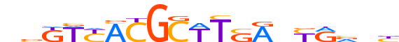 PAX2.H12CORE.0.SM.B reverse-complement motif logo (PAX2 gene, PAX2_HUMAN protein)