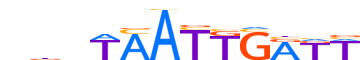 PAX3.H12CORE.2.P.C reverse-complement motif logo (PAX3 gene, PAX3_HUMAN protein)