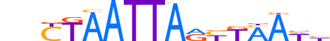 PAX4.H12CORE.1.S.C motif logo (PAX4 gene, PAX4_HUMAN protein)