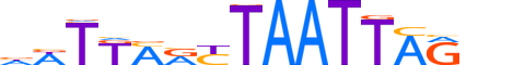 PAX4.H12CORE.1.S.C reverse-complement motif logo (PAX4 gene, PAX4_HUMAN protein)