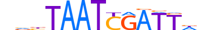 PAX7.H12CORE.1.S.B reverse-complement motif logo (PAX7 gene, PAX7_HUMAN protein)