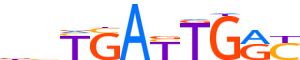 PBX1.H12CORE.1.P.B motif logo (PBX1 gene, PBX1_HUMAN protein)