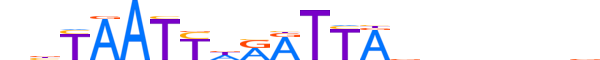 PHX2A.H12CORE.0.PS.A reverse-complement motif logo (PHOX2A gene, PHX2A_HUMAN protein)