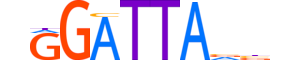 PITX1.H12CORE.0.PSM.A motif logo (PITX1 gene, PITX1_HUMAN protein)