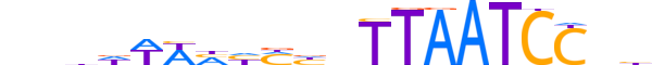 PITX1.H12CORE.1.S.B reverse-complement motif logo (PITX1 gene, PITX1_HUMAN protein)