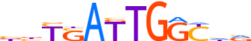 PKNX1.H12CORE.0.P.B motif logo (PKNOX1 gene, PKNX1_HUMAN protein)