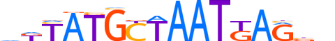 PO3F2.H12CORE.2.SM.B reverse-complement motif logo (POU3F2 gene, PO3F2_HUMAN protein)