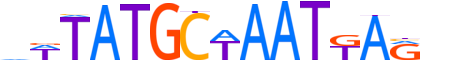 PO3F4.H12CORE.0.SM.B reverse-complement motif logo (POU3F4 gene, PO3F4_HUMAN protein)