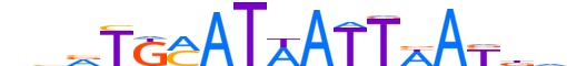 PO4F1.H12CORE.1.SM.B reverse-complement motif logo (POU4F1 gene, PO4F1_HUMAN protein)