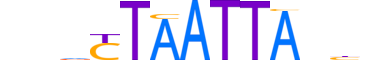 PO6F2.H12CORE.0.S.B reverse-complement motif logo (POU6F2 gene, PO6F2_HUMAN protein)