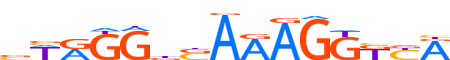 PPARD.H12CORE.0.PSM.A motif logo (PPARD gene, PPARD_HUMAN protein)