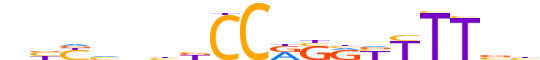 PRD15.H12CORE.0.P.B reverse-complement motif logo (PRDM15 gene, PRD15_HUMAN protein)