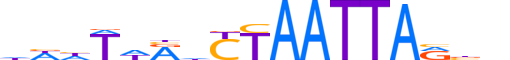 PRRX1.H12CORE.1.S.B reverse-complement motif logo (PRRX1 gene, PRRX1_HUMAN protein)