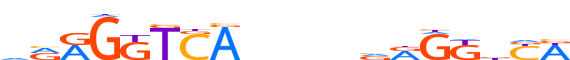 RARA.H12CORE.1.P.B motif logo (RARA gene, RARA_HUMAN protein)