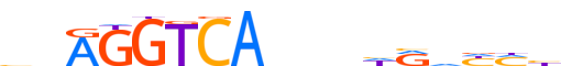 RARA.H12CORE.2.P.B motif logo (RARA gene, RARA_HUMAN protein)