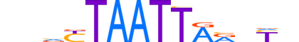 RAX2.H12CORE.0.S.B reverse-complement motif logo (RAX2 gene, RAX2_HUMAN protein)