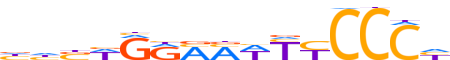 REL.H12CORE.0.P.B reverse-complement motif logo (REL gene, REL_HUMAN protein)