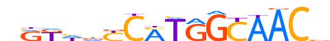 RFX4.H12CORE.0.SM.B reverse-complement motif logo (RFX4 gene, RFX4_HUMAN protein)