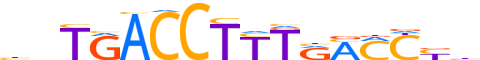 RXRG.H12CORE.1.SM.B reverse-complement motif logo (RXRG gene, RXRG_HUMAN protein)