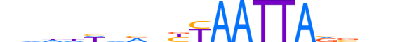 SHOX.H12CORE.0.SM.B reverse-complement motif logo (SHOX gene, SHOX_HUMAN protein)