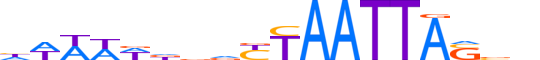 SHOX2.H12CORE.0.S.B motif logo (SHOX2 gene, SHOX2_HUMAN protein)