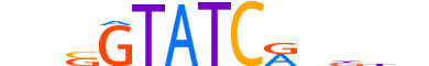 SIX1.H12CORE.1.SM.B reverse-complement motif logo (SIX1 gene, SIX1_HUMAN protein)