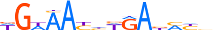 SIX2.H12CORE.0.P.B motif logo (SIX2 gene, SIX2_HUMAN protein)