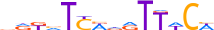 SIX2.H12CORE.0.P.B reverse-complement motif logo (SIX2 gene, SIX2_HUMAN protein)