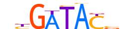 SIX2.H12CORE.2.SM.B motif logo (SIX2 gene, SIX2_HUMAN protein)