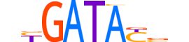 SIX3.H12CORE.0.SM.B motif logo (SIX3 gene, SIX3_HUMAN protein)