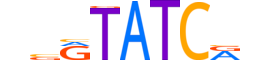 SIX3.H12CORE.0.SM.B reverse-complement motif logo (SIX3 gene, SIX3_HUMAN protein)