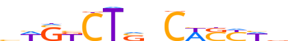 SMAD3.H12CORE.2.P.C reverse-complement motif logo (SMAD3 gene, SMAD3_HUMAN protein)