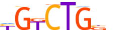 SMAD4.H12CORE.0.P.B motif logo (SMAD4 gene, SMAD4_HUMAN protein)