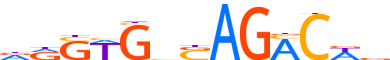 SMAD4.H12CORE.1.P.B reverse-complement motif logo (SMAD4 gene, SMAD4_HUMAN protein)