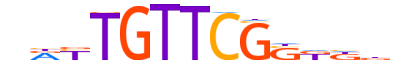 SOX10.H12CORE.2.S.C motif logo (SOX10 gene, SOX10_HUMAN protein)